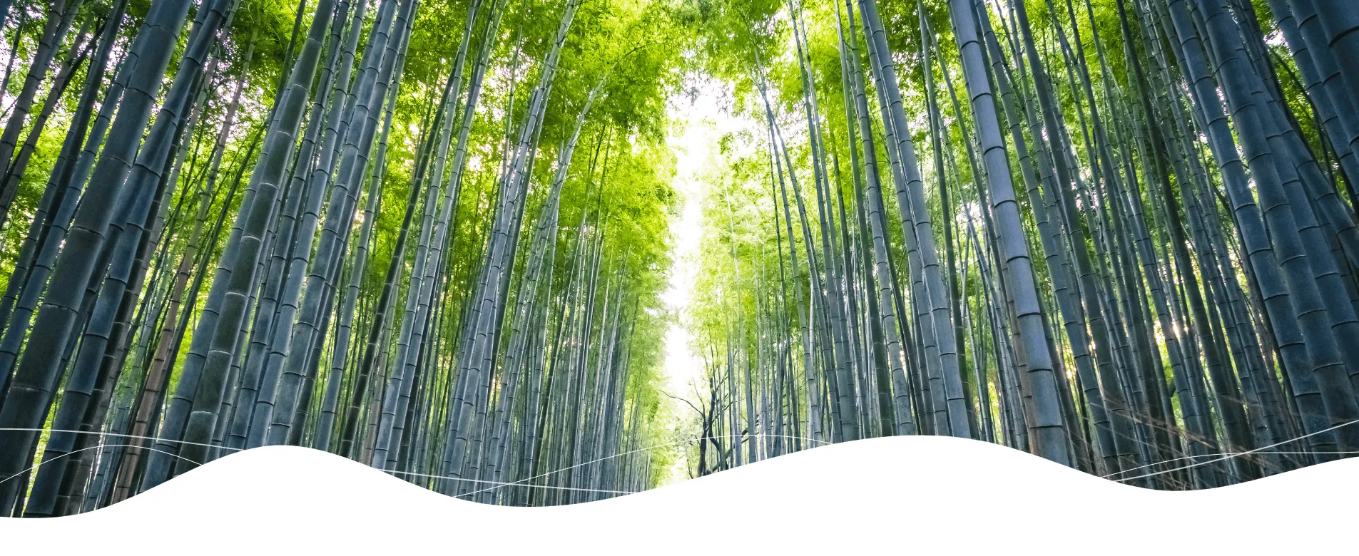 京都！エアトリプラスのおすすめ