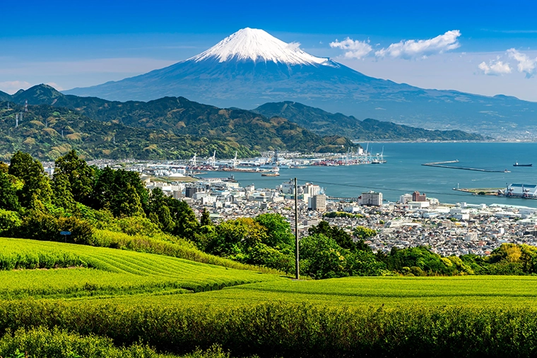 エアトリプラスのおすすめ